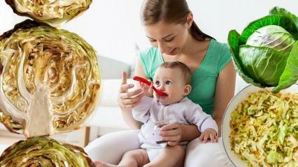 Τα μωρά τρώνε λάχανο; Σε ποιο μήνα πρέπει να δίνεται στα μωρά λάχανο; Τα οφέλη του λάχανου για τα μωρά
