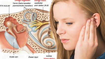 Τι προκαλεί τη μετατόπιση των κρυστάλλων αυτιών; Σημάδια παιχνιδιού κρυστάλλου αυτιών