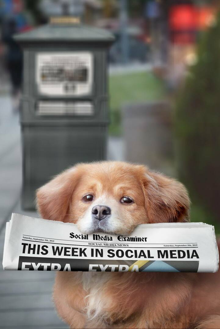 Το Meerkat παρουσιάζει ζωντανά Hashtags: Αυτή την εβδομάδα στα Social Media: Social Media Examiner