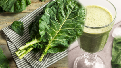 Ποια είναι τα οφέλη του μαύρου kale; Ποιες ασθένειες είναι καλές για το κάπα;