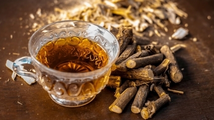 Ποια είναι τα οφέλη της γλυκόριζας; Πώς να φτιάξετε τσάι ρίζας γλυκόριζας; Τι είναι η γλυκόριζα;