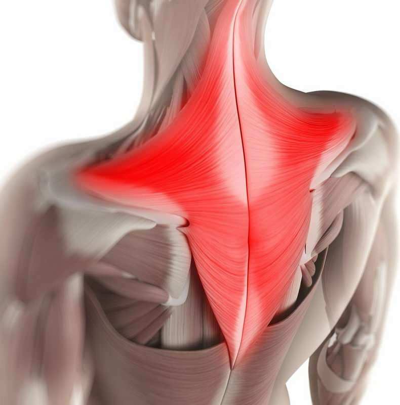 Κατά τη διάρκεια της ημέρας, ασυνείδητα, οι μύες στην περιοχή του λαιμού μπορούν να τραβηχτούν σε λάθος καθιστή θέση. 
