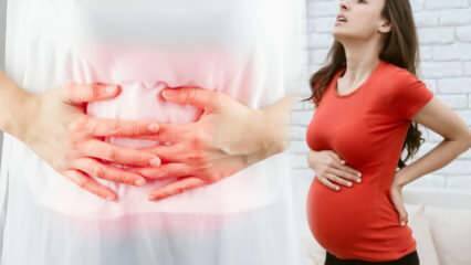 Πώς να κατανοήσετε τα μέρη της αποβολής κατά τη διάρκεια της εγκυμοσύνης; Πραγματοποίηση χαμηλού ...