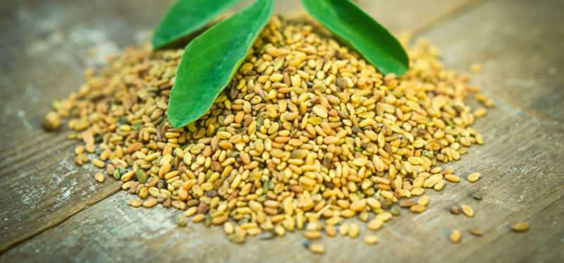 Τι είναι το Fenugreek και ποια είναι τα οφέλη του Fenugreek; Fenugreek τσάι