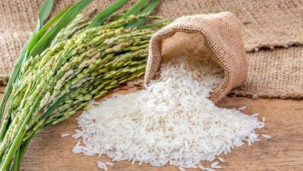 Τι είναι το ρύζι Baldo; Ποια είναι τα χαρακτηριστικά του ρυζιού Baldo; 2020 τιμές ρύζι μπαλσό