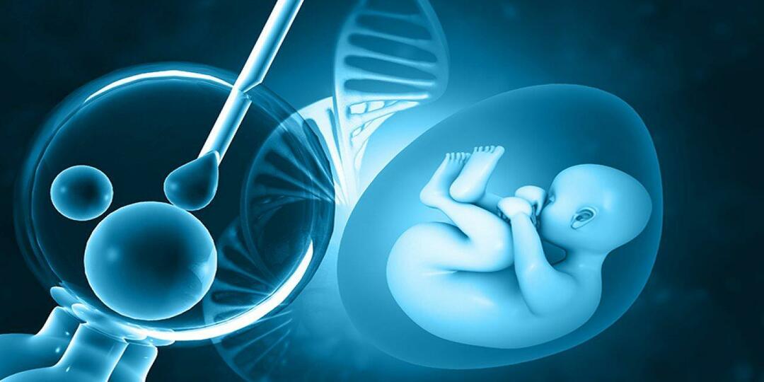Η εξωσωματική γονιμοποίηση θα καλύπτεται από το κράτος;