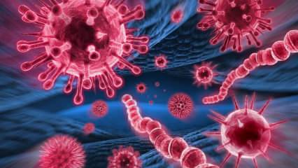 Τι είναι ο ιός Mers; Ποια είναι τα συμπτώματα του ιού Mers; Πώς μεταδίδεται ο ιός Mers;