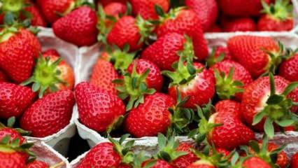 Μέθοδος για την πρόληψη της σήψης της φράουλας