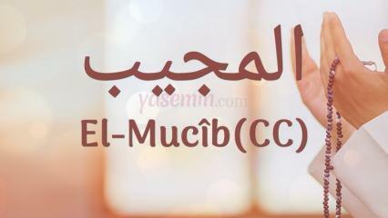 Τι σημαίνει το al-Mujib (c.c); Ποιες είναι οι αρετές του ονόματος Al-Mujib; Esmaul Husna Al-Mujib...