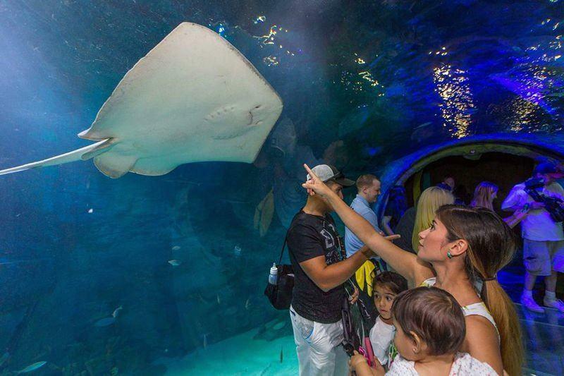  Κουφώματα από το Istanbul Sea Life Aquarium