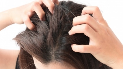Πώς πηγαίνουν τα λευκά στα μαλλιά; Τρόπος καθυστέρησης της λεύκανσης των μαλλιών