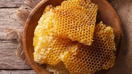 Ποια είναι τα οφέλη από το μέλι; Τι είναι η τρελή δηλητηρίαση του μελιού; Πόσα είδη μέλι υπάρχουν; 