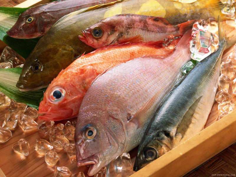 Συμβουλές για την επιλογή φρέσκου ψαριού από την κριτική επιτροπή του Masterchef Mehmet Chef