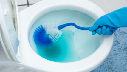 Πώς να καθαρίσετε μια βούρτσα τουαλέτας; 