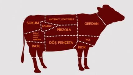 Ποια είναι τα μέρη του βοείου κρέατος; Ποιο κρέας από ποια περιοχή κόβεται;