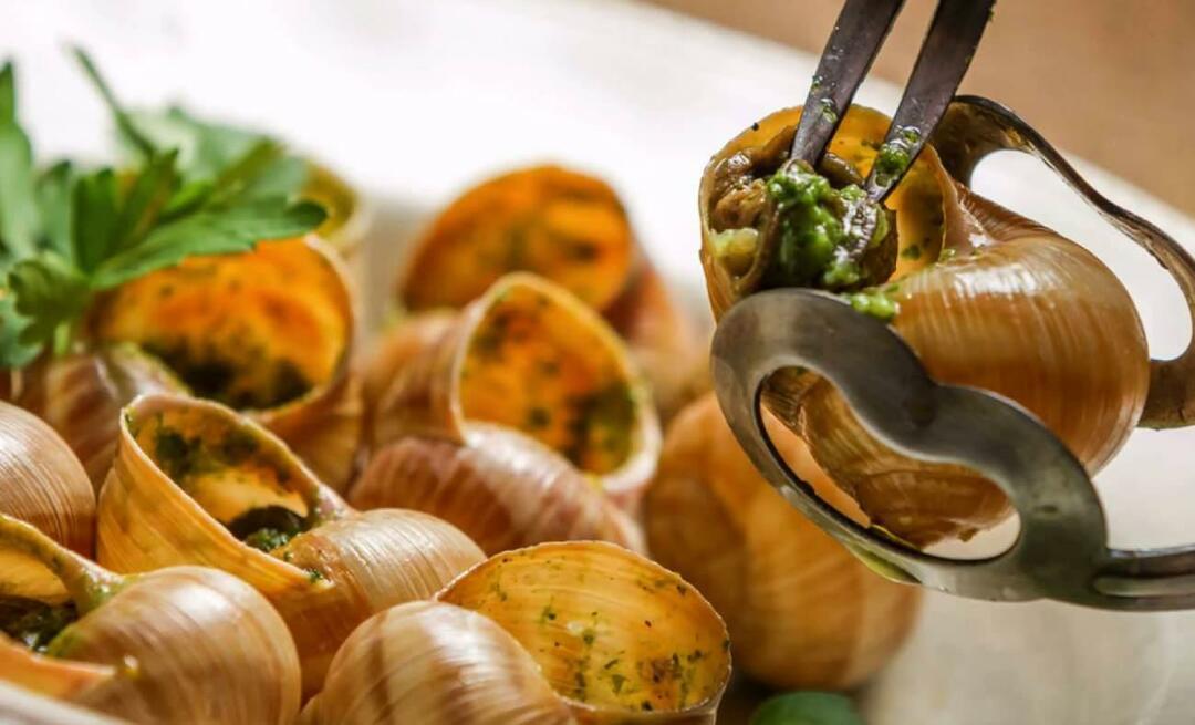 Ποιο είναι το πιάτο με τα σαλιγκάρια στην ατζέντα; Πώς να φάτε στιφάδο Hochlus