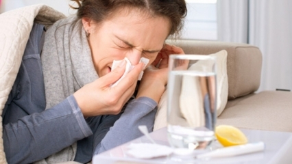Ποια είναι τα τρόφιμα που είναι καλά για τα κρυολογήματα και τη γρίπη; 5 τρόφιμα που εμποδίζουν τη γρίπη ...