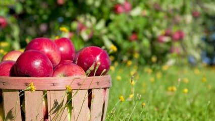 Συμβουλές για τη διατήρηση του μήλου φρέσκο