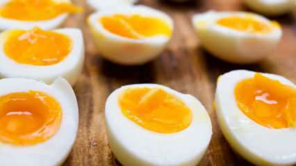 Πώς πρέπει να φυλάσσεται το βραστό αυγό; Συμβουλές για ιδανικό βρασμό αυγών