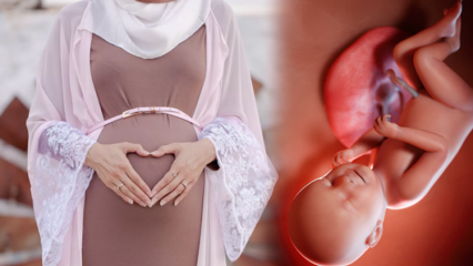 Προσευχές και esmaül Hüsna dhikrs να διαβάζονται για να είναι το μωρό υγιές κατά τη διάρκεια της εγκυμοσύνης