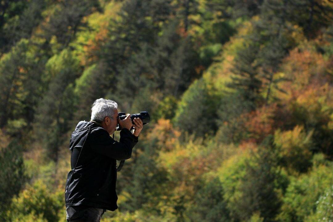 Βουνό Ilgaz: Όλα τα χρώματα του φθινοπώρου είναι εδώ