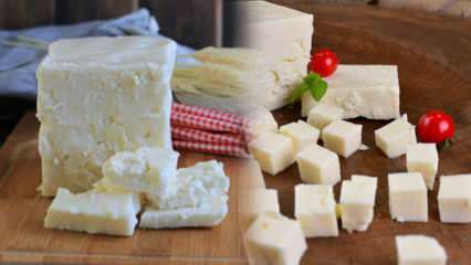 Τι είναι το τυρί Ezine και πώς γίνεται κατανοητό; Συνταγή τυριού Ezine