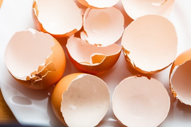 θεραπεία τερηδόνας με κελύφη αυγών