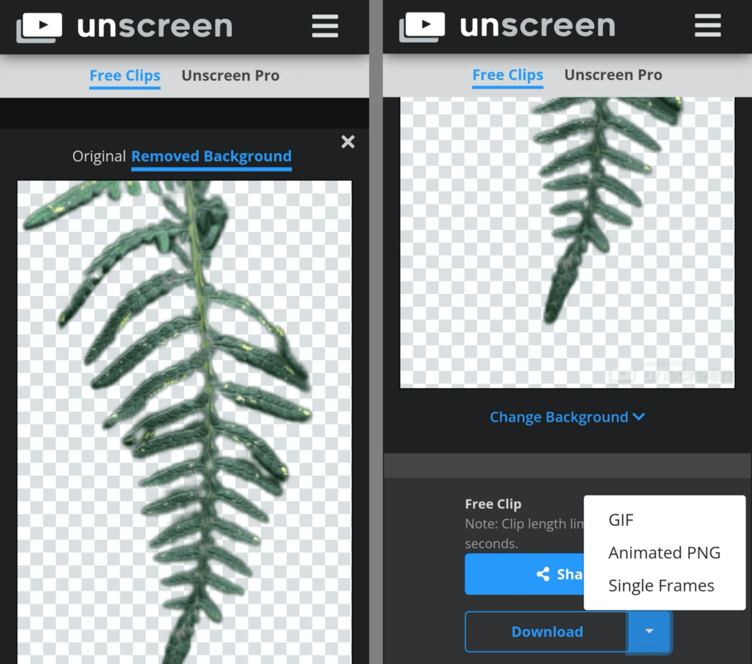 εικόνα του εργαλείου δημιουργίας Unseen GIF