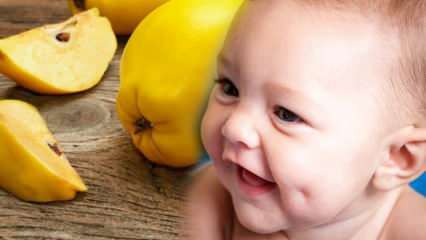 Μήπως το κυδώνι λακκάκι; Μήπως το φαγητό κυδώνι κατά τη διάρκεια της εγκυμοσύνης ομορφαίνει το μωρό;
