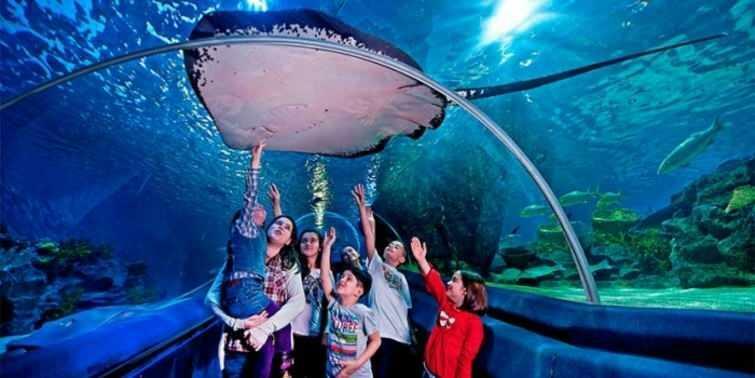  Κουφώματα από το Istanbul Sea Life Aquarium