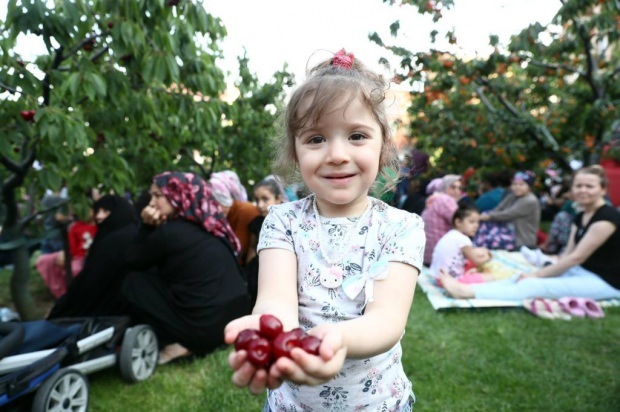 11η στον Cherry Garden του Bağcılar. Cherry Harvest δραστηριότητα!