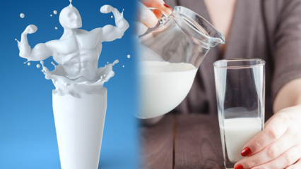 Το γάλα κατανάλωσης πριν πάτε για ύπνο εξασθενεί; Μόνιμη και υγιεινή δίαιτα αδυνατίσματος γάλακτος