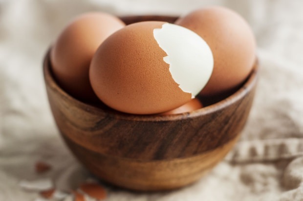 Οργανική ανάλυση αυγών