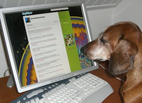Στο Διαδίκτυο, κανείς δεν ξέρει ότι είστε σκύλος