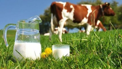 Τι είναι η αλλεργία στο γάλα; Πότε περνά η αλλεργία στο γάλα σε βρέφη; Η αλλεργία του αγελαδινού γάλακτος ...