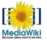 Plugin του MediaWiki για το Microsoft Word 2010 και το 2007