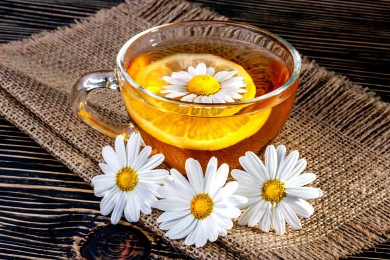 Το τσάι χαμομηλιού πεινάει ή είναι γεμάτο; Αυξήστε το μεταβολισμό με το χαμομήλι