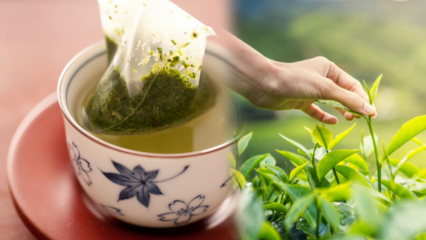Αναστατώνει το κουνουπιέρα; Ποια είναι η διαφορά μεταξύ τσαντών τσαγιού και τσαγιού; Εάν πίνετε πράσινο τσάι πριν τον ύπνο ...