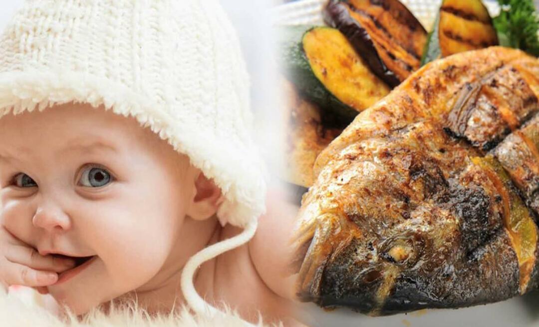 Πότε να δίνετε ψάρια στα μωρά; Πώς να δώσετε ψάρι στα μωρά και πώς να το μαγειρέψετε;