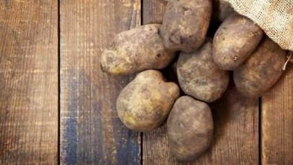 Πώς φυλάσσονται οι πατάτες;