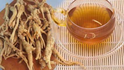Ποια είναι τα οφέλη του ginseng; Πώς καταναλώνεται το ginseng; Τι είναι καλό το τσάι ginseng;