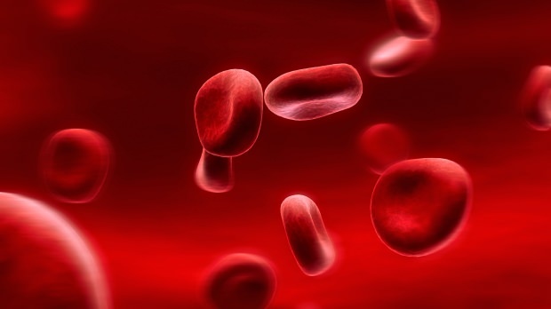 Τι είναι μια διατροφή ομάδας αίματος; Πώς γίνεται;