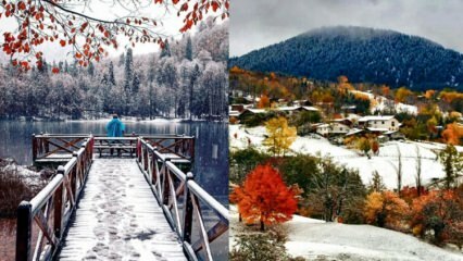 Πώς θα φτάσετε στο χιονοδρομικό κέντρο Atabarı; Πού να δείτε και να δείτε στο Artvin;