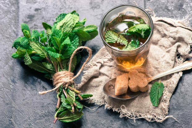 Ποια είναι τα οφέλη της μέντας; Τι είναι καλό το τσάι λεμονιού μέντας; Εάν πίνετε νερό μέντας ...