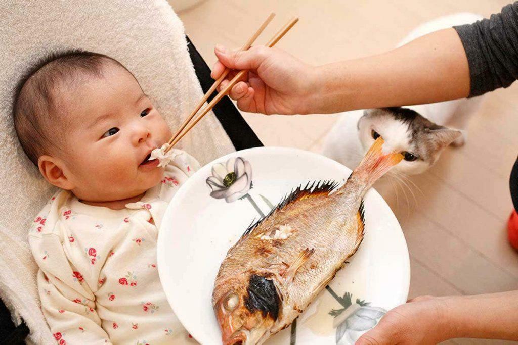 ταΐζοντας ψάρια στο μωρό
