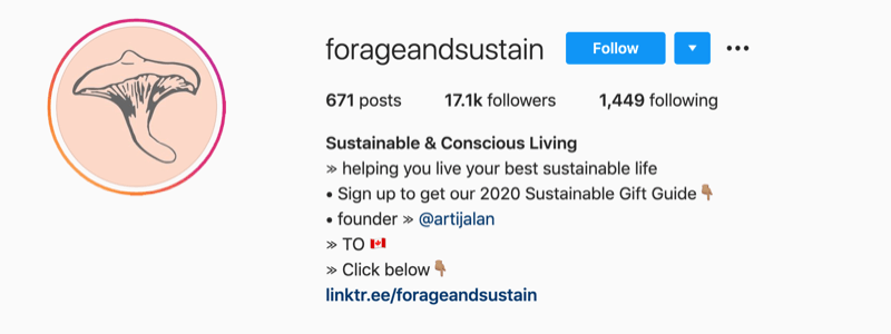 παράδειγμα προφίλ instagram από @forageandsustain με μια σημείωση στις πληροφορίες του προφίλ τους για να κάνετε κλικ στο σύνδεσμο βιογραφίας για περισσότερα