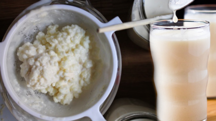 Πώς παράγεται το kefir; Ποια είναι τα οφέλη του κεφίρ; Τι είναι για το πόσιμο χυμό κέφι;