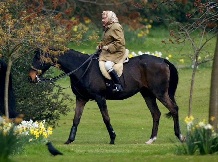 Βασίλισσα Η Ελισάβετ σε μια βόλτα με άλογο 