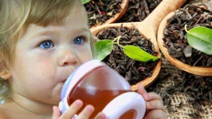 Μπορούν τα μωρά να πίνουν τσάι;