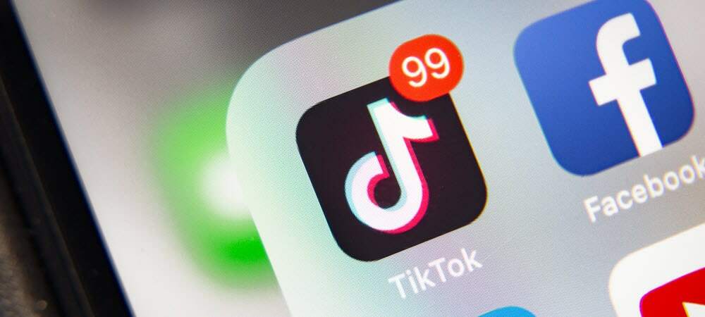 Παρουσιάστηκε το TikTok